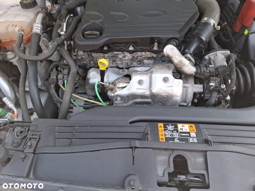Ford Focus 1.5 EcoBlue Trend - 18