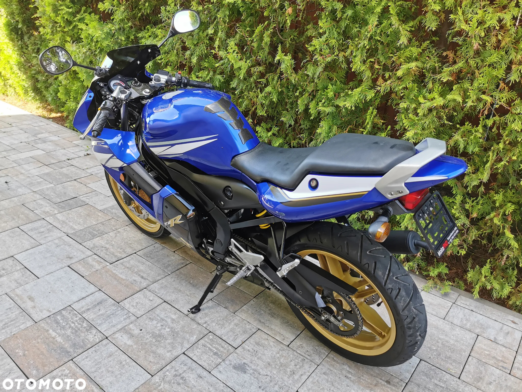Yamaha TZR - 13