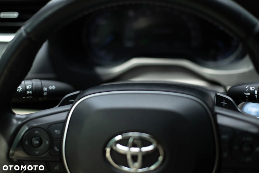 Toyota RAV4 2.5 Hybrid Executive 4x2 - 38
