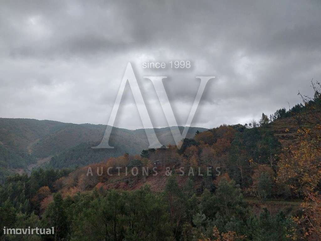 Terreno rústico - Terra Nova, Área de Gondramaz - VILA NOVA - MIRAN... - Grande imagem: 3/5
