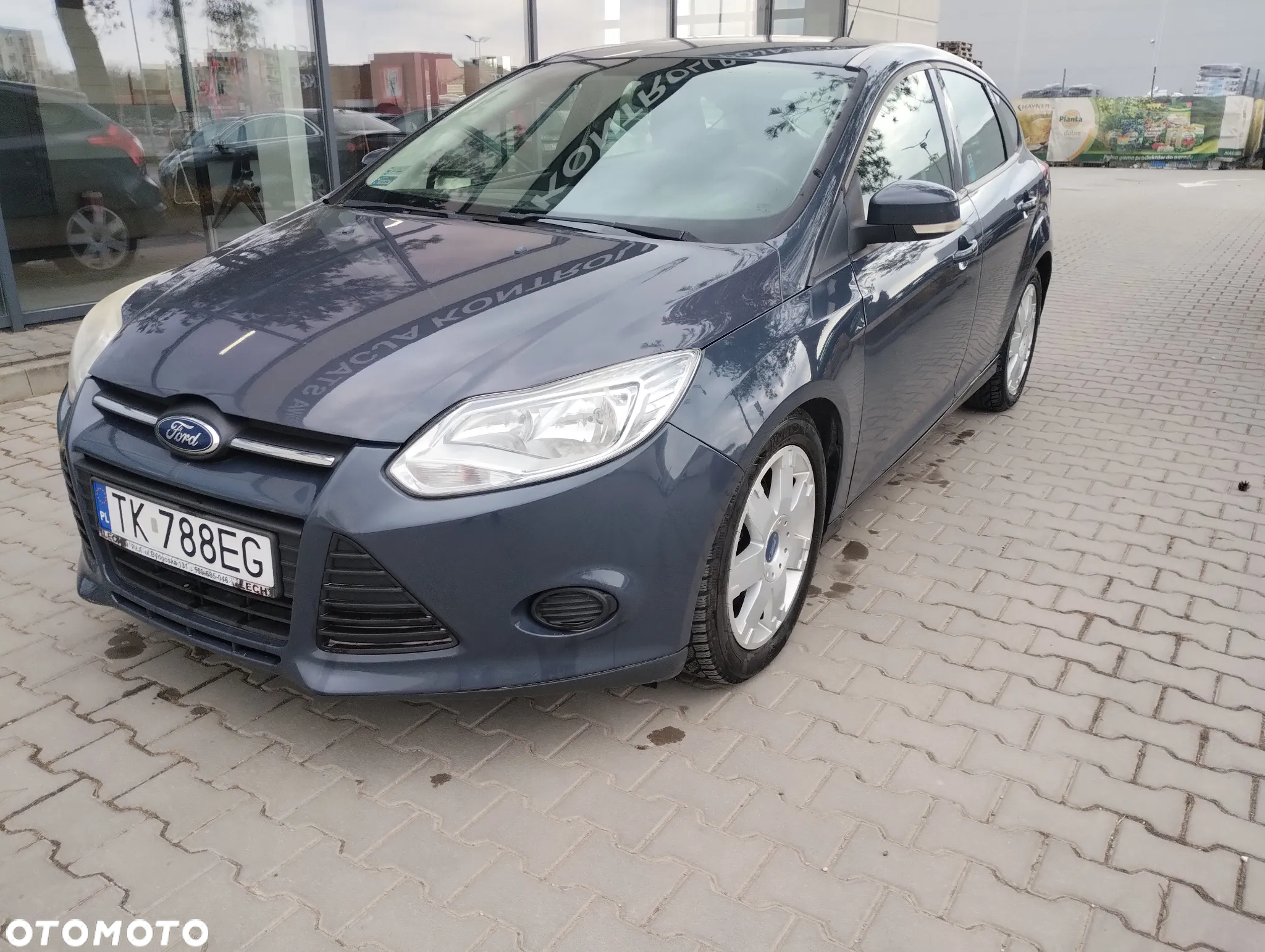 Ford Focus - 5