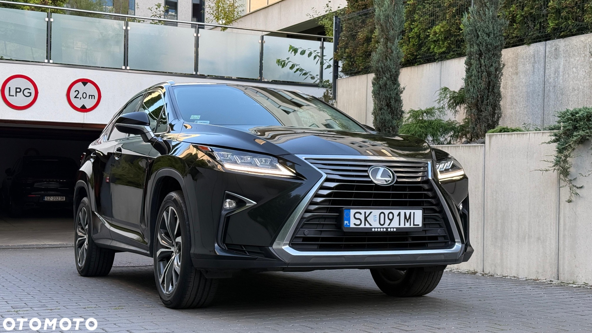 Lexus RX 200t / 300 Elegance - 31