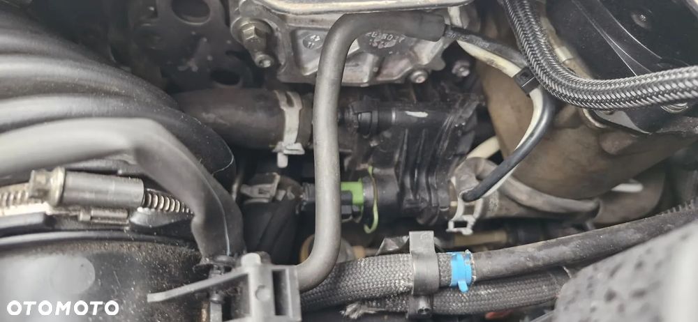 Ford Focus 1.6 TDCi DPF Champions Edition - 14