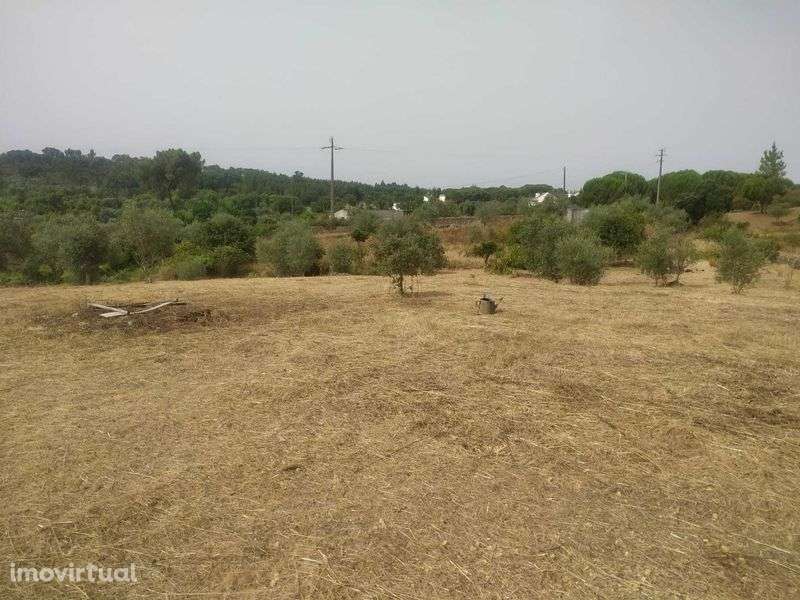 Terreno rústico Degracia - Gavião - Grande imagem: 2/11