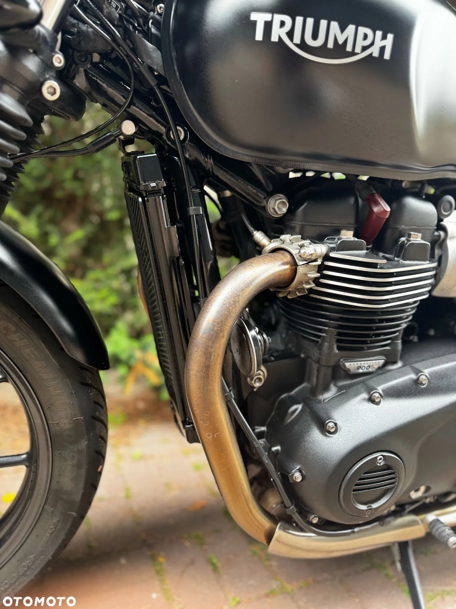 Triumph Speed Twin - 11
