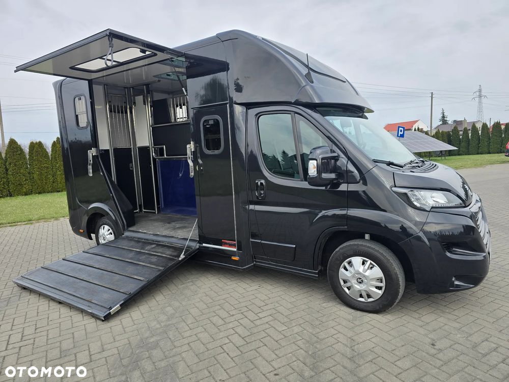 Peugeot Boxer-Koniowóz - 5