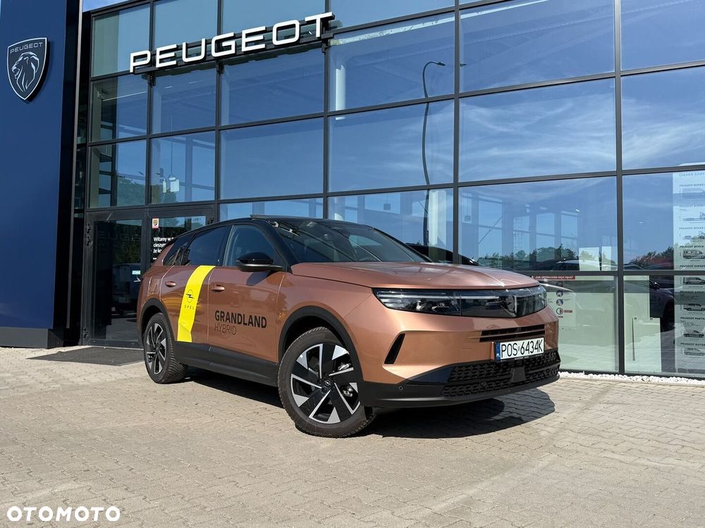 Opel Grandland - 1
