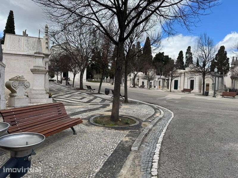 JAZIGO - Cemitério dos Prazeres - OPORTUNIDADE - Grande imagem: 3/8