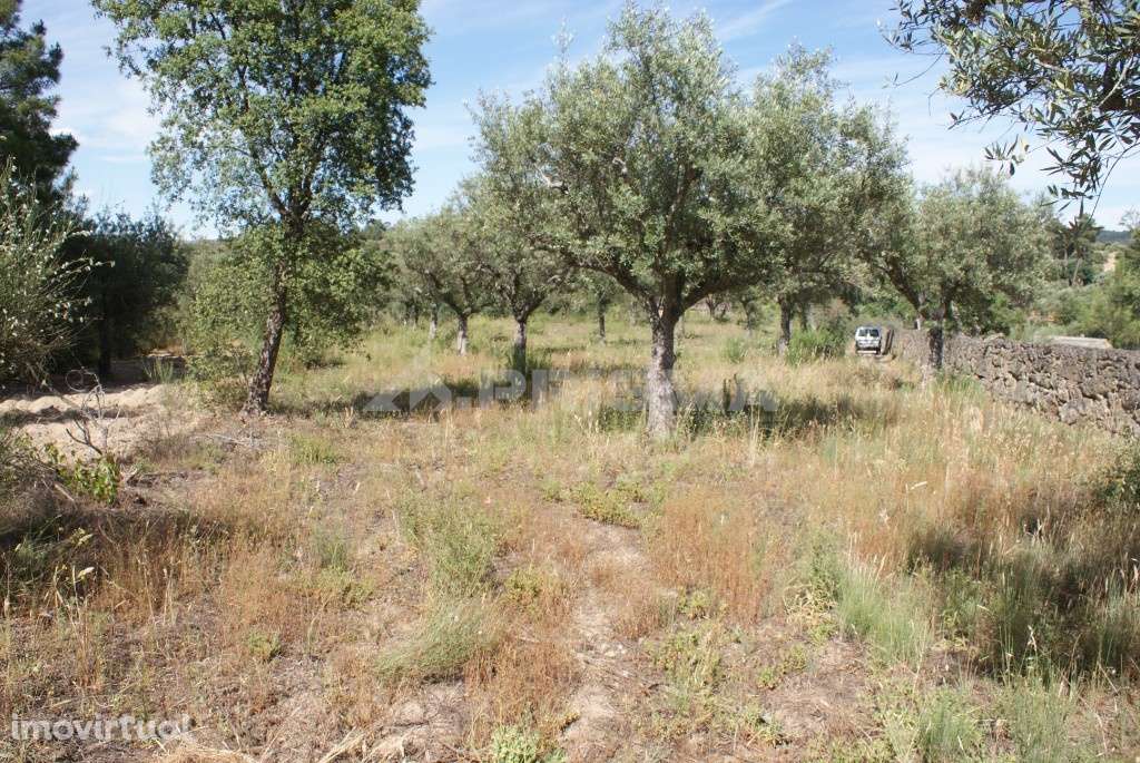 Terreno para venda - Grande imagem: 3/14