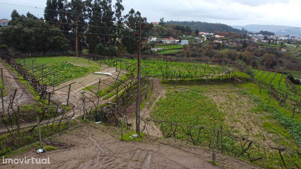Terreno c/ capacidade de construção Figueiró – Amarante - Grande imagem: 2/16