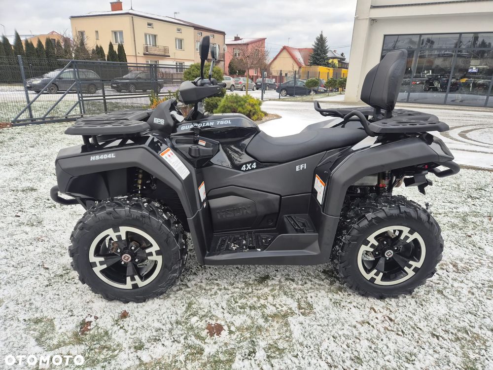 HISUN Guardian 750 - 5