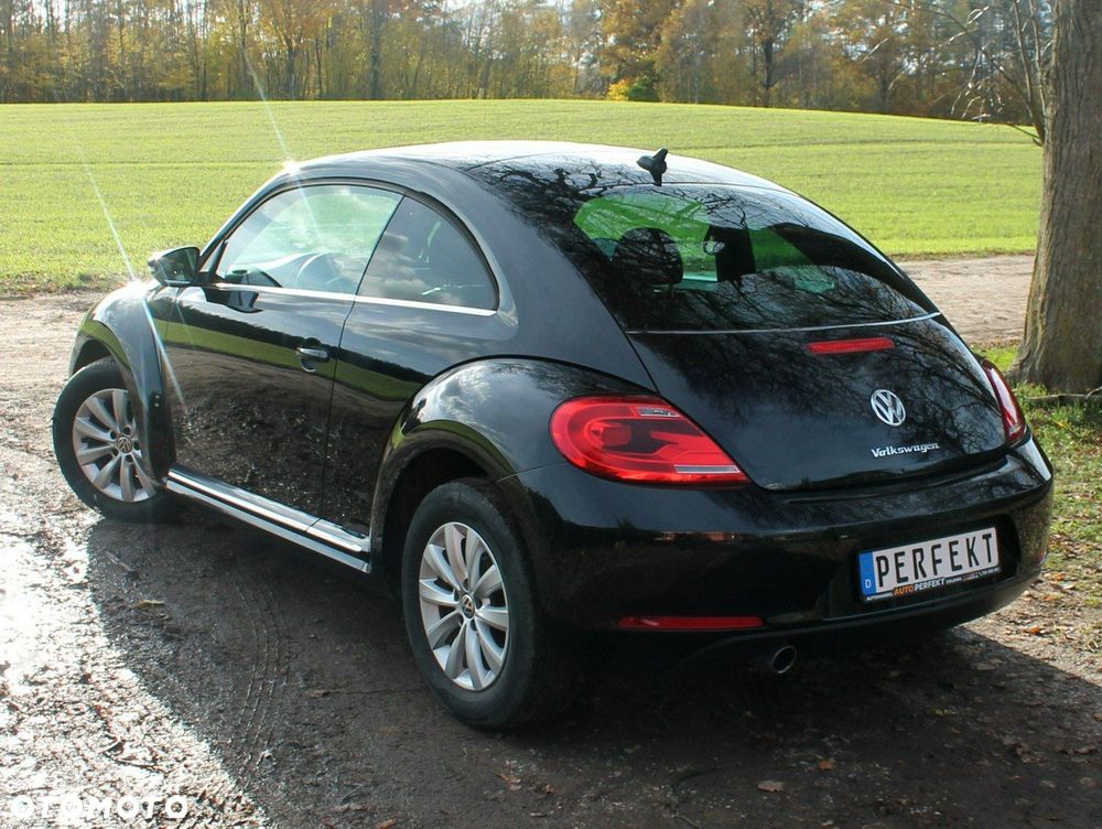 Volkswagen Beetle - 5
