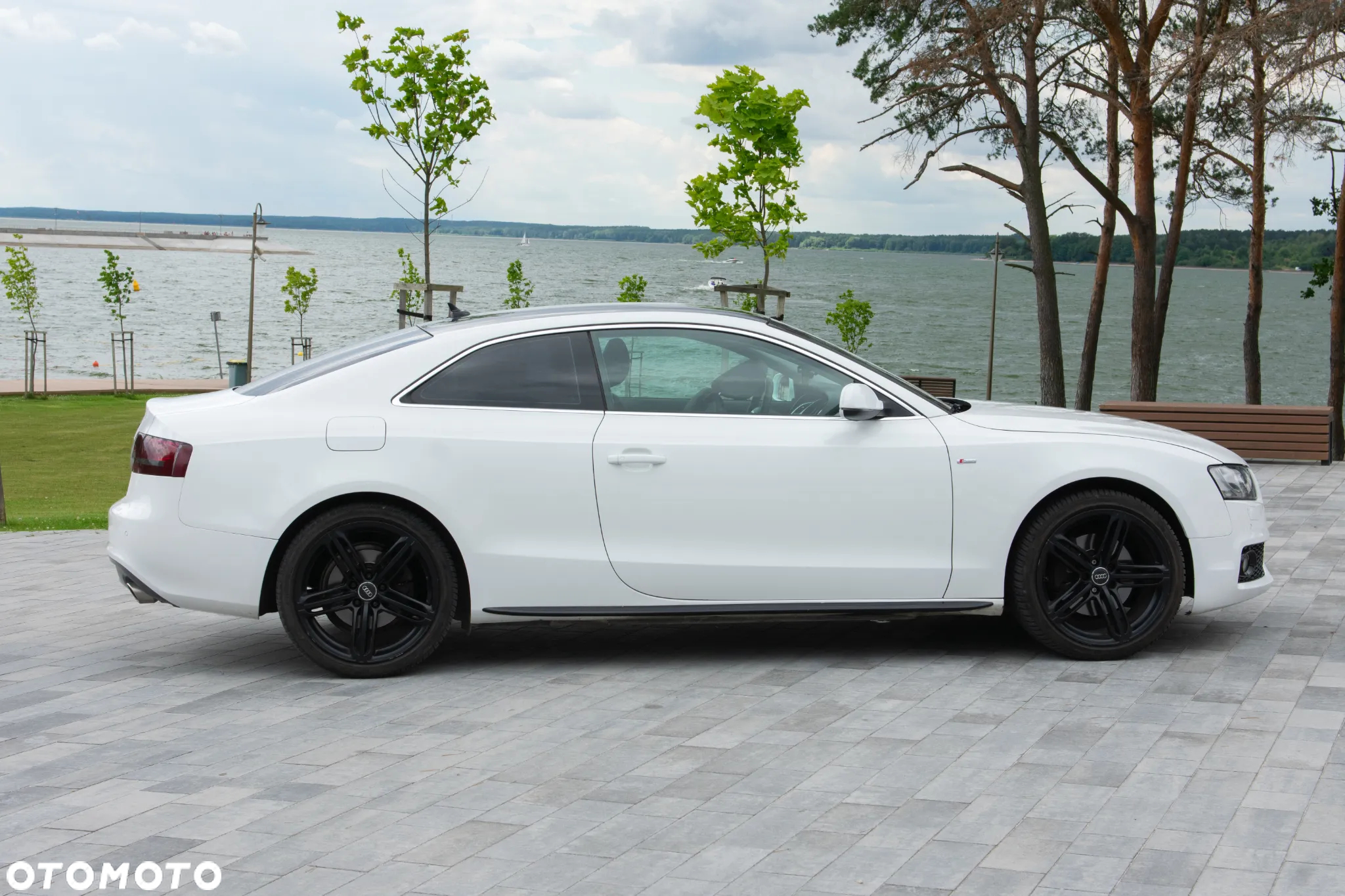 Audi A5 Coupe 2.7 TDI Multitronic - 6