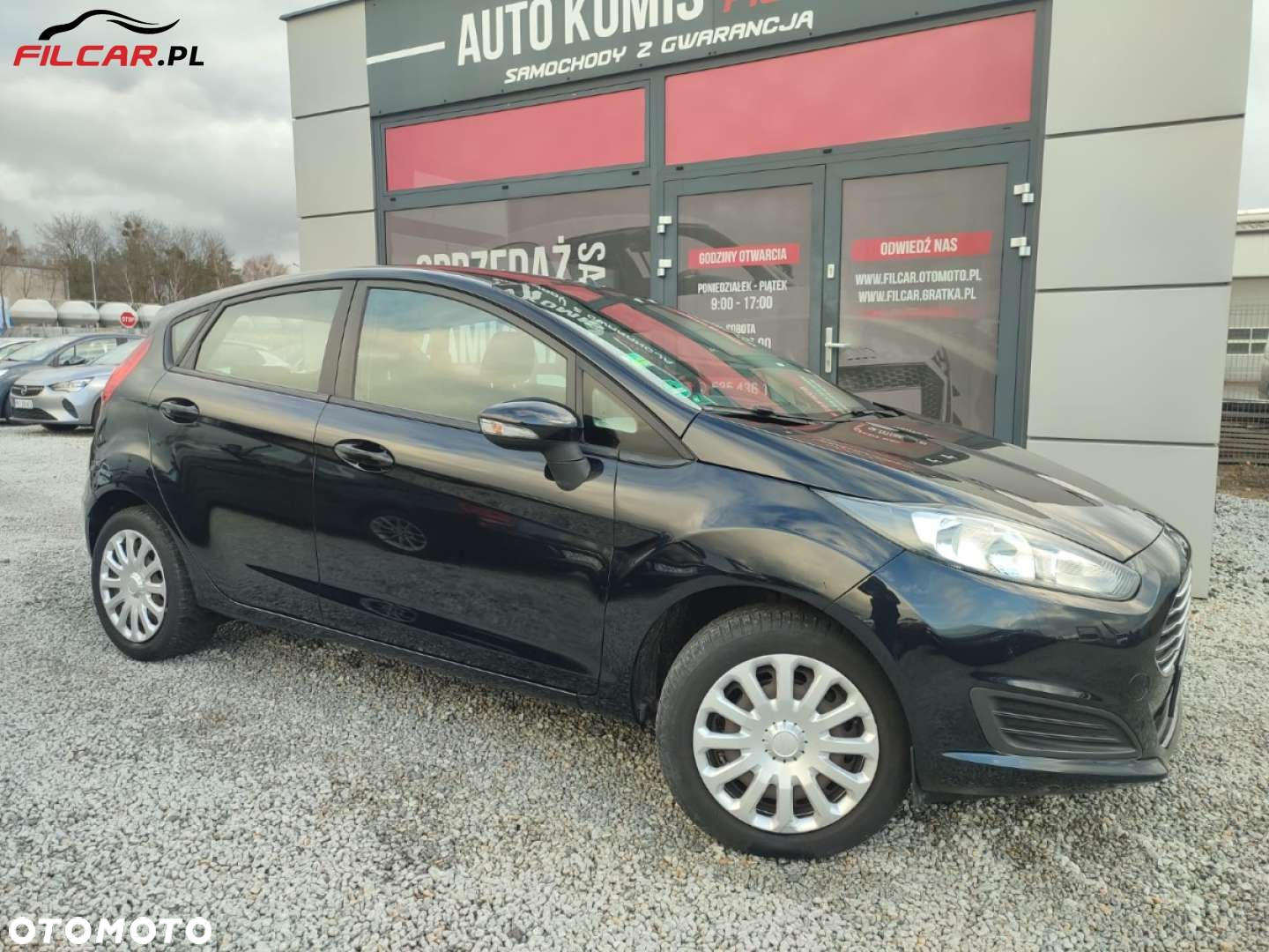 Ford Fiesta - 14
