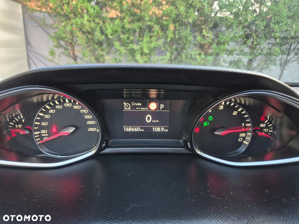 Peugeot 308 1.5 BlueHDi GT S&S EAT8 - 19