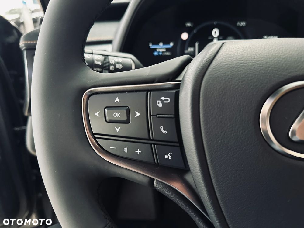 Lexus UX 300h Business - 20