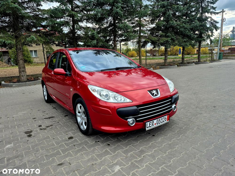 Peugeot 307 - 4