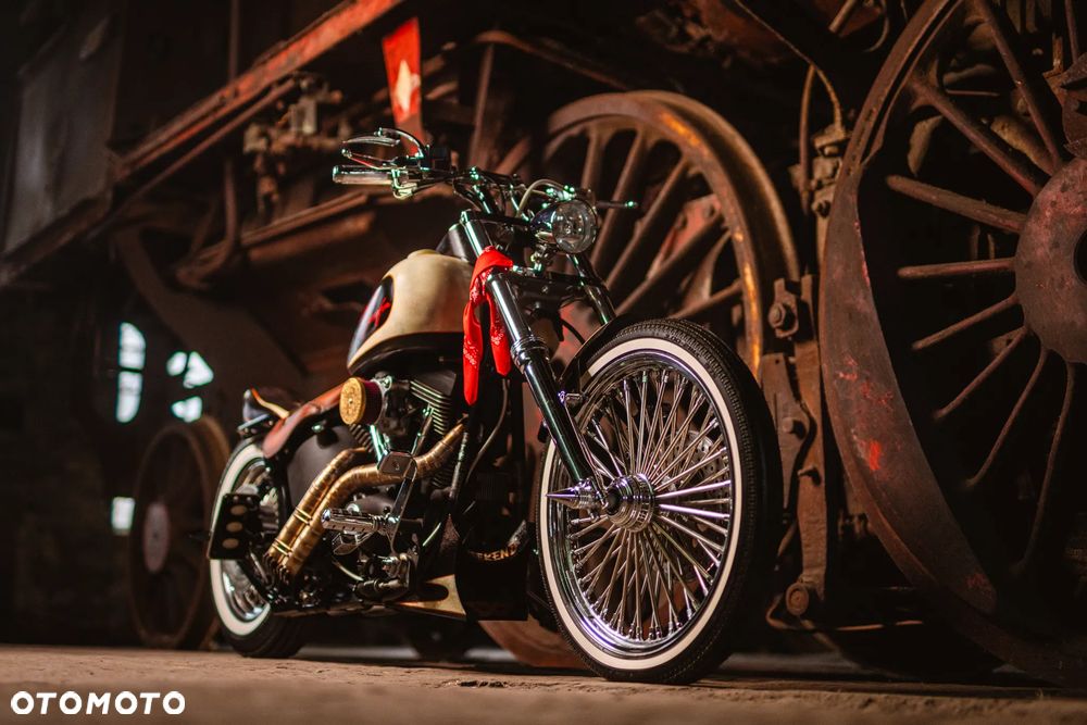 Harley-Davidson Softail - 6
