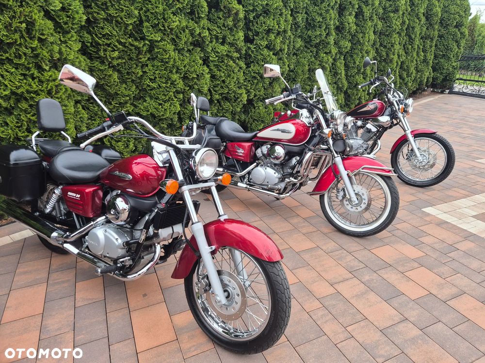 Yamaha Virago - 18