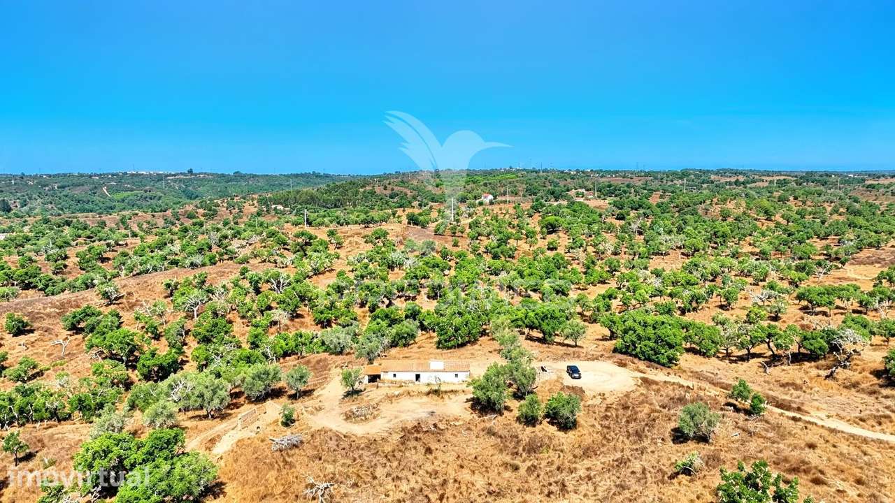 Quinta (prédio misto) com 3 ha - Elevado potencial de investimento - Grande imagem: 2/26