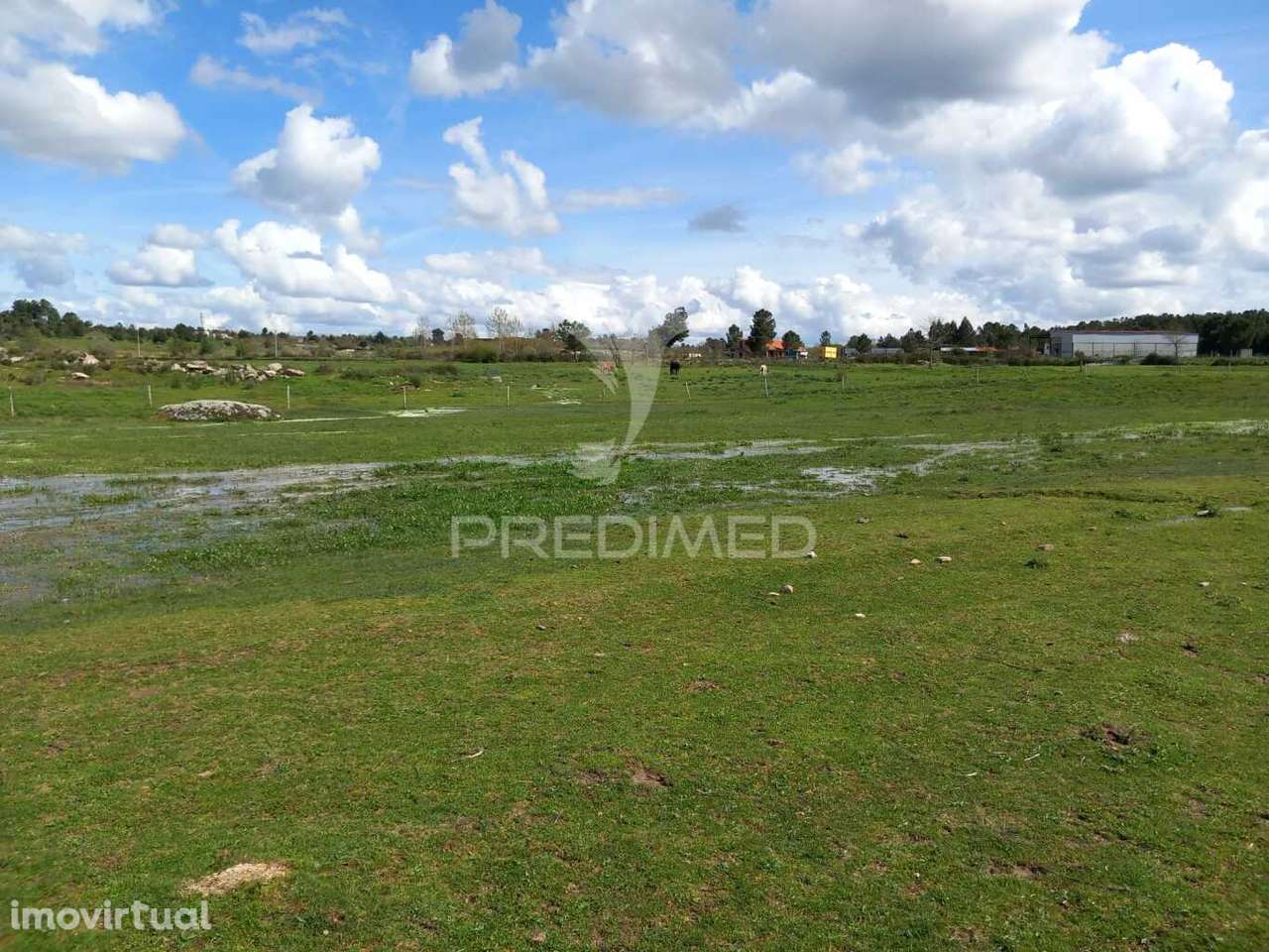 Quinta à venda com 6 Hectares – Mêda - Grande imagem: 4/13