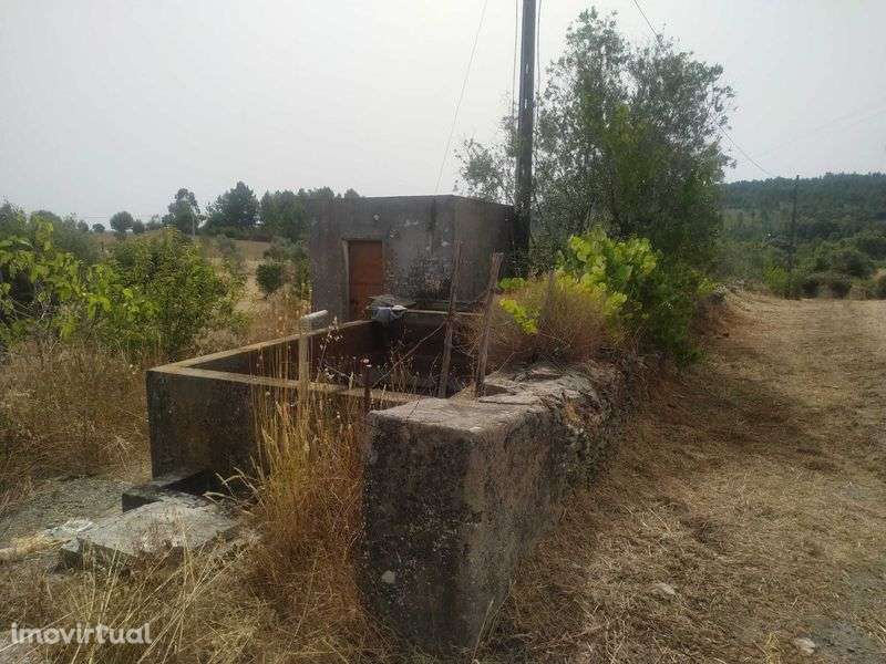 Terreno rústico Degracia - Gavião - Grande imagem: 4/11