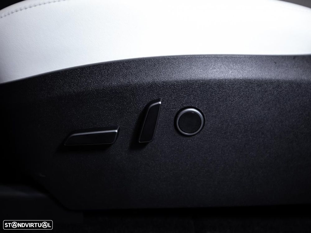 Tesla Model Y Performance Dual Motor AWD - 19