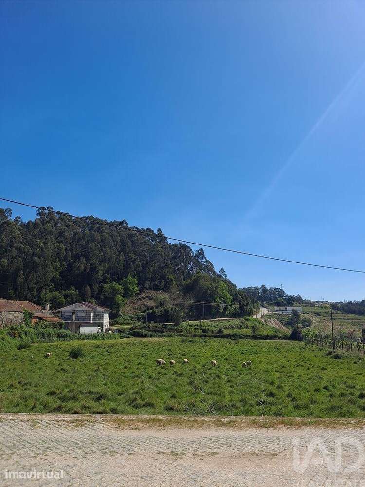 Terreno Agrícola em Bustelo - Grande imagem: 5/12