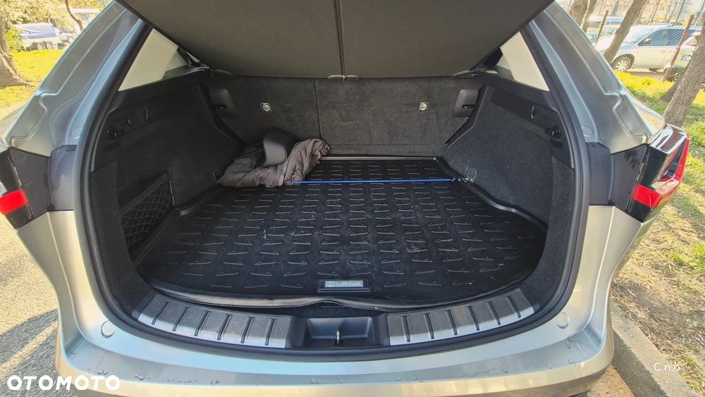 Lexus NX - 15