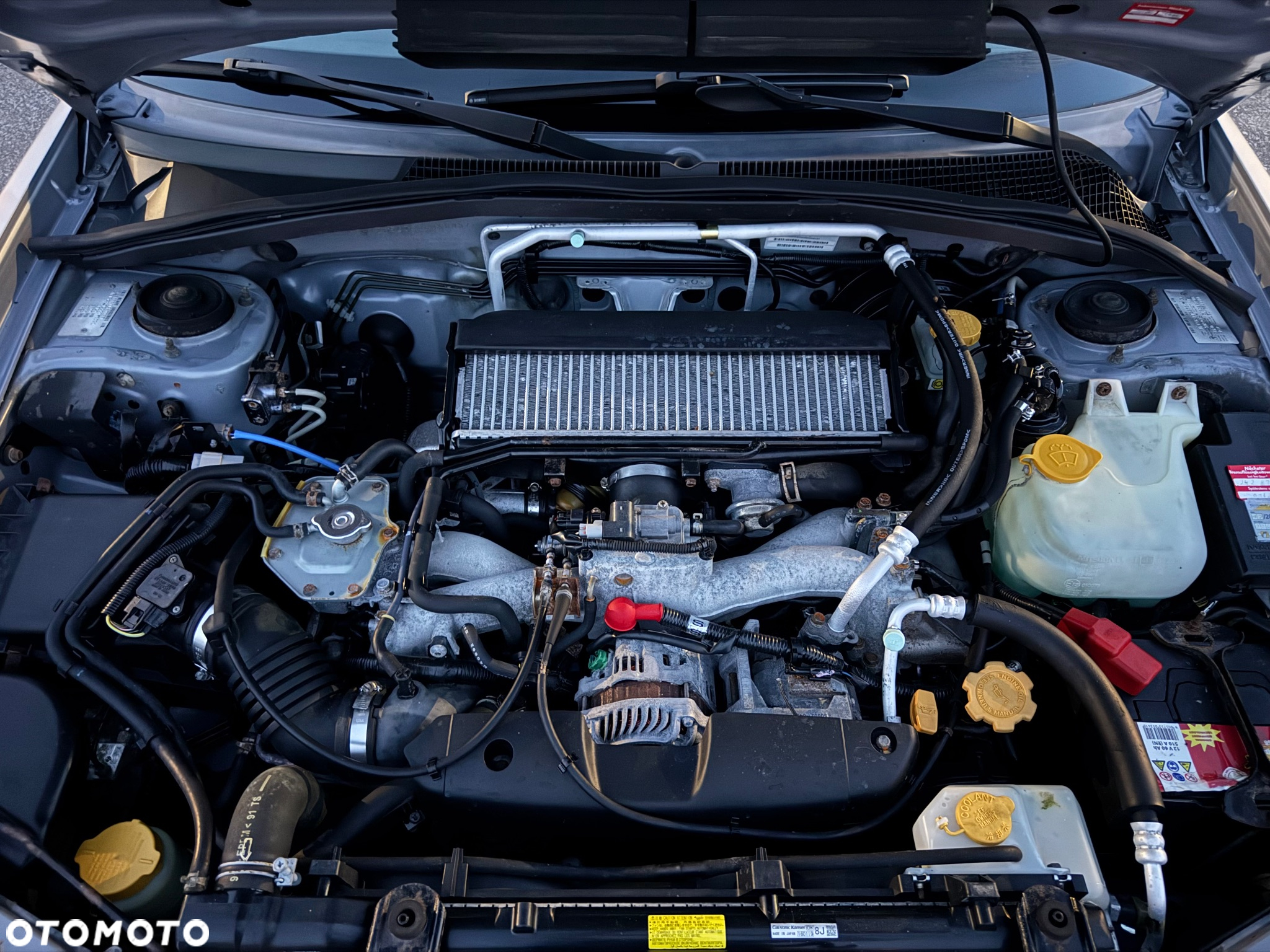 Subaru Forester - 21