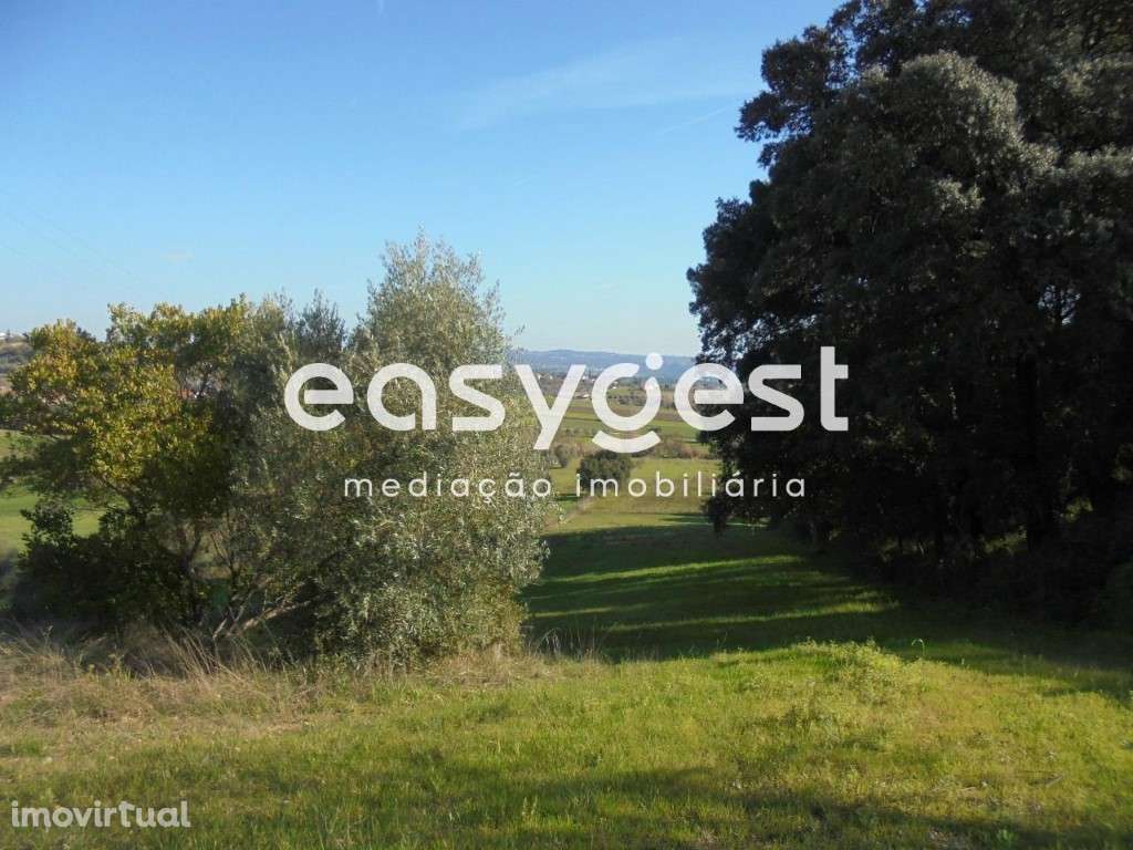 Terreno Urbano para construção em São Miguel - Tomar... - Grande imagem: 3/11