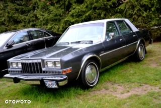 Dodge Diplomat - 5