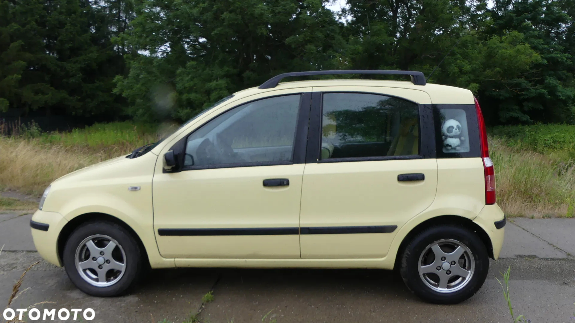 Fiat Panda 1.2 Dynamic - 19