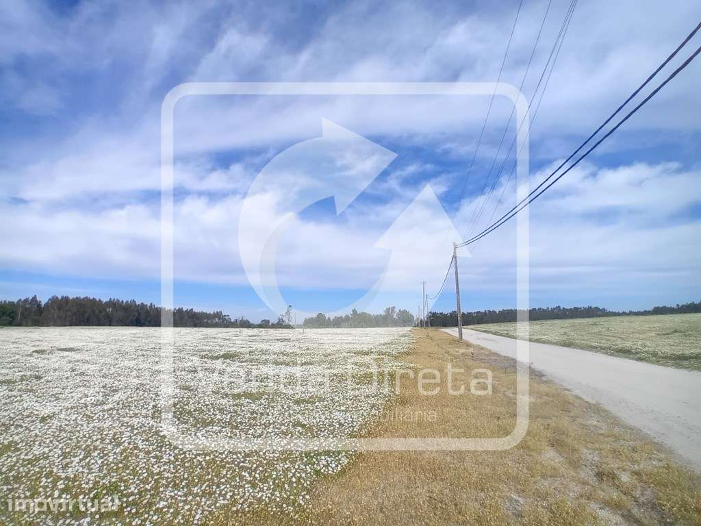 Quinta com 110.000 m2 junto à Nacional 10 - Com Armazém e Furo Lice... - Grande imagem: 3/27