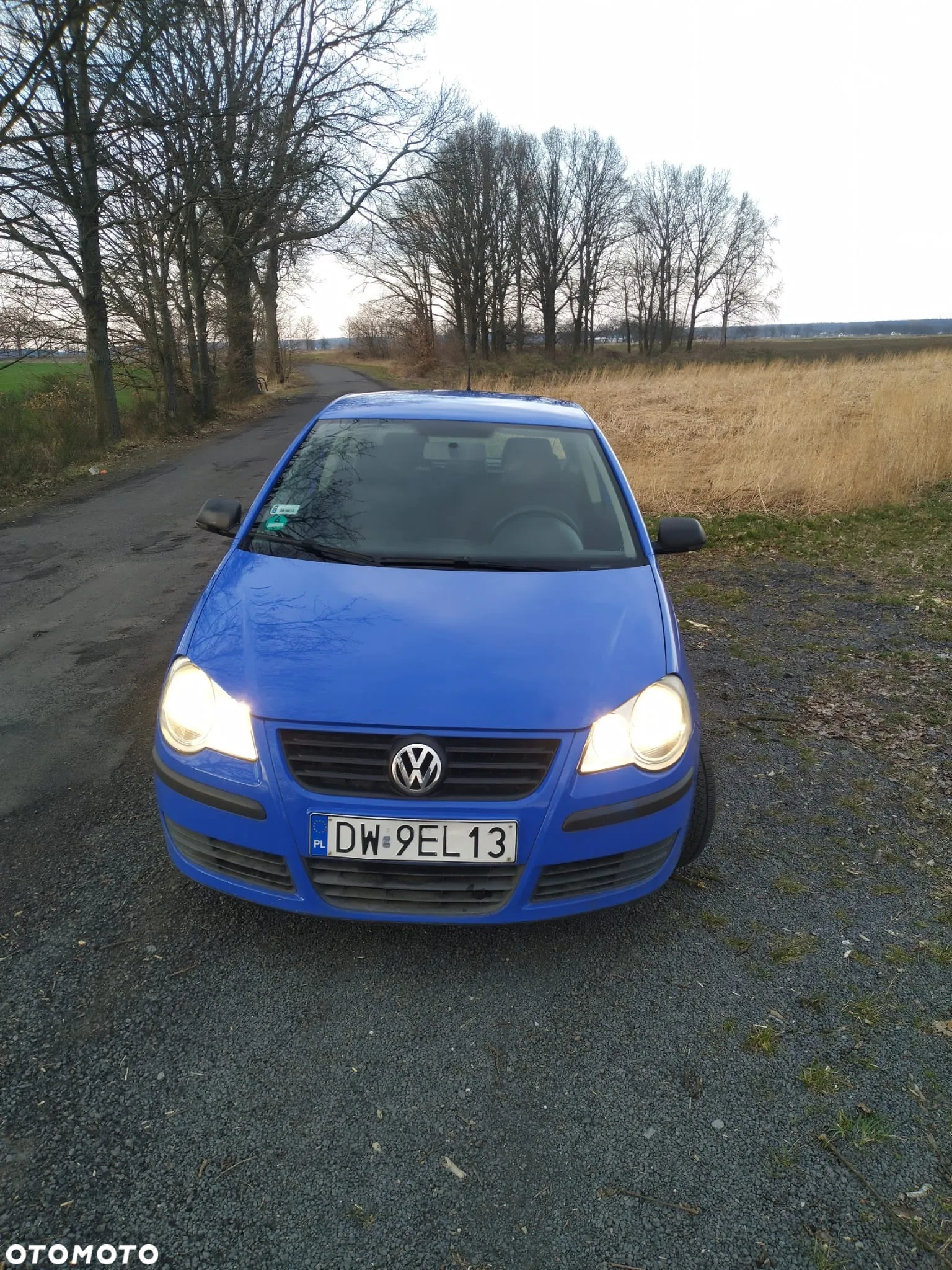 Volkswagen Polo - 2