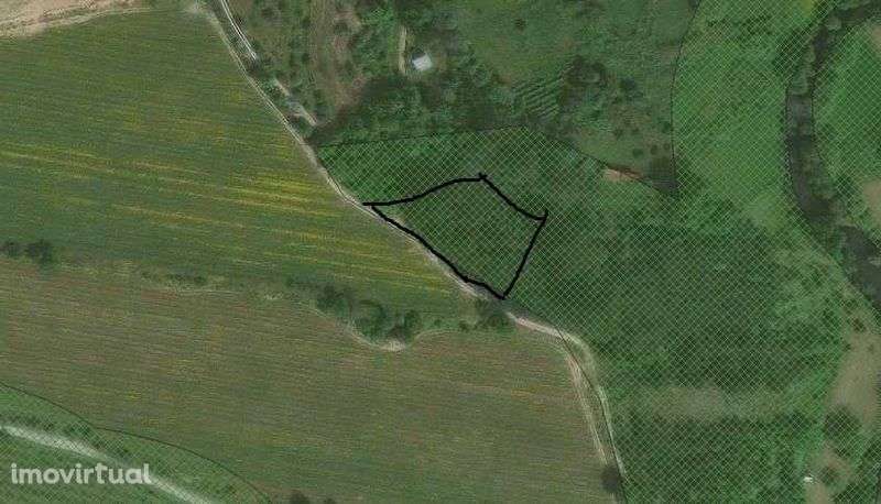 Terreno em Pindo - Grande imagem: 2/2