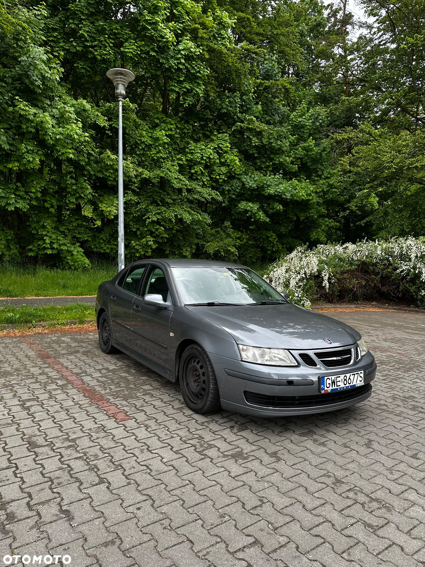 Saab 9-3 1.9TiD PF Linear - 3