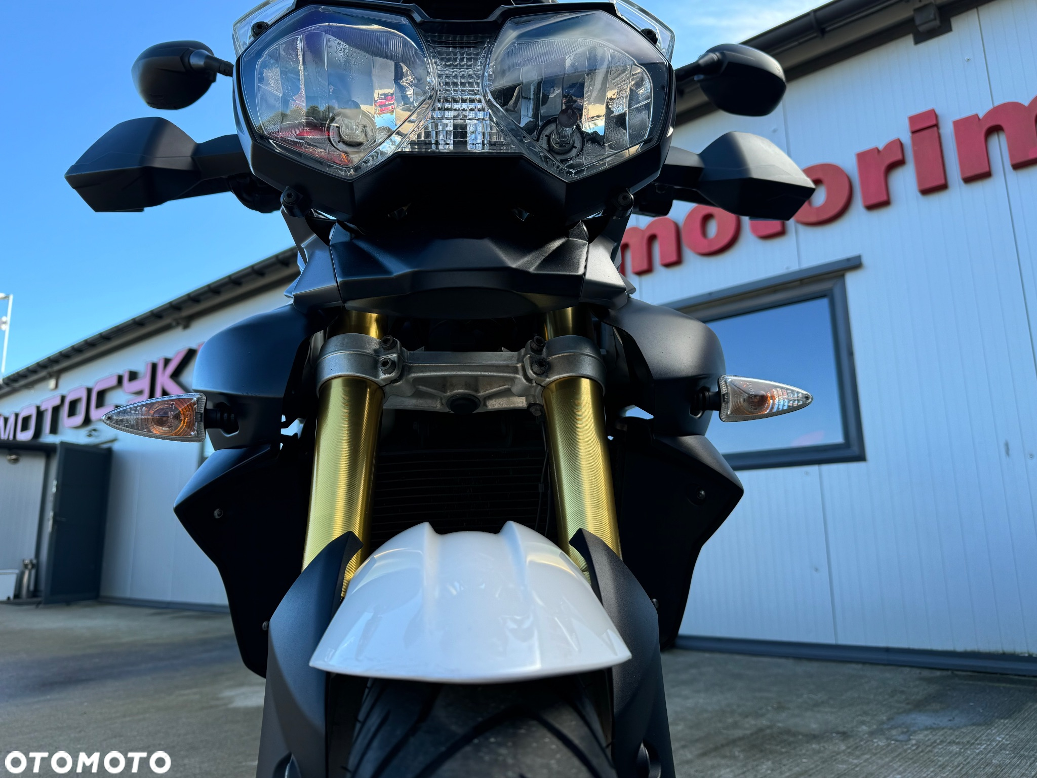 Triumph Tiger - 10