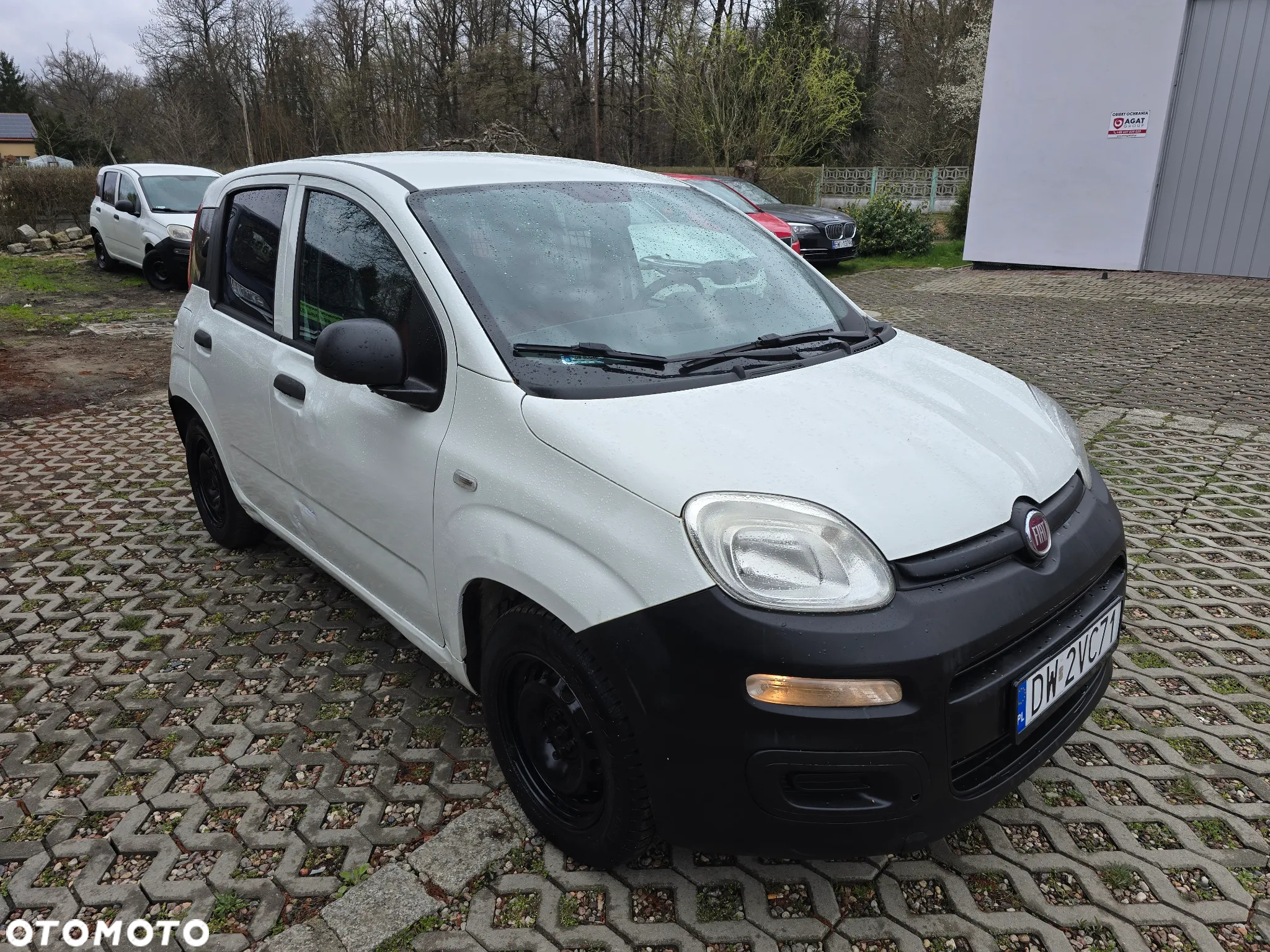 Fiat Panda 1.2 Active Eco - 4