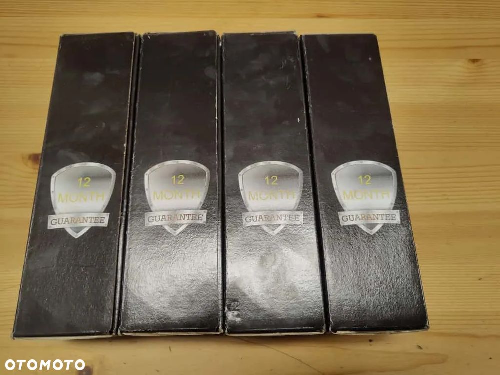 WTRYSKIWACZ 0445110369 REGENROWNY - 3