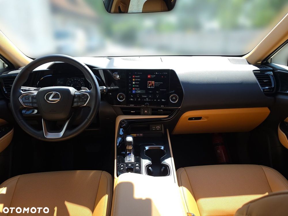 Lexus NX - 12