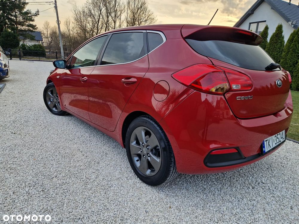 Kia Ceed 1.4 CVVT Fifa World Cup Edition - 3