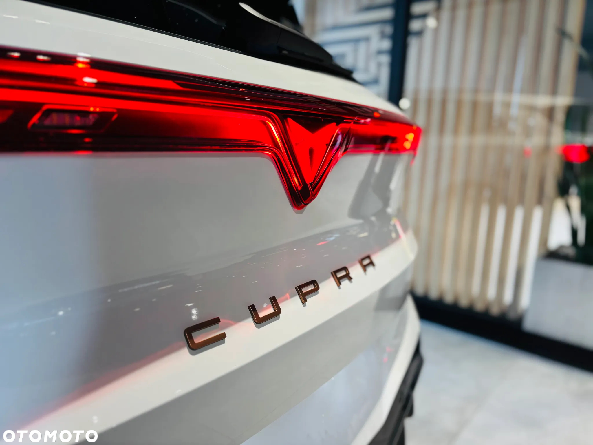 Cupra Terramar - 6