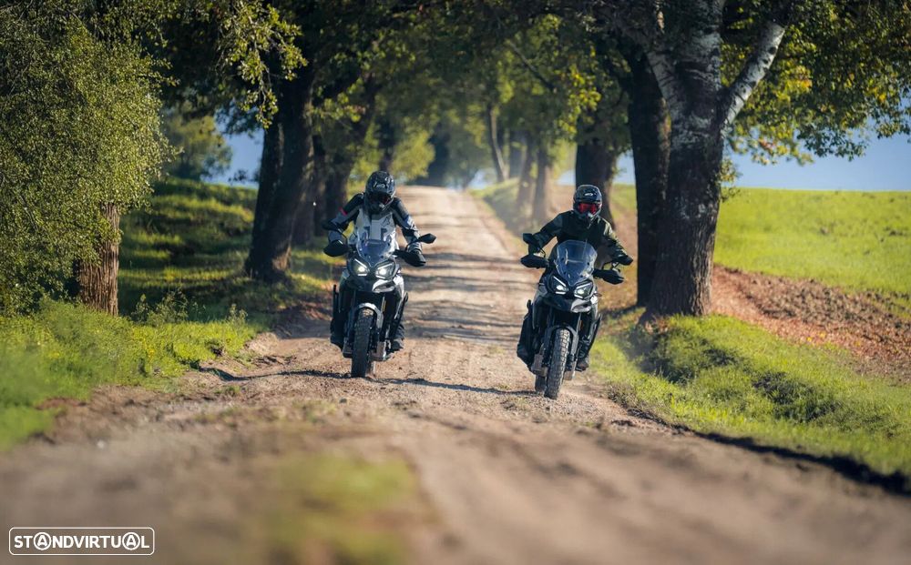 Morbidelli T1002VX - 34