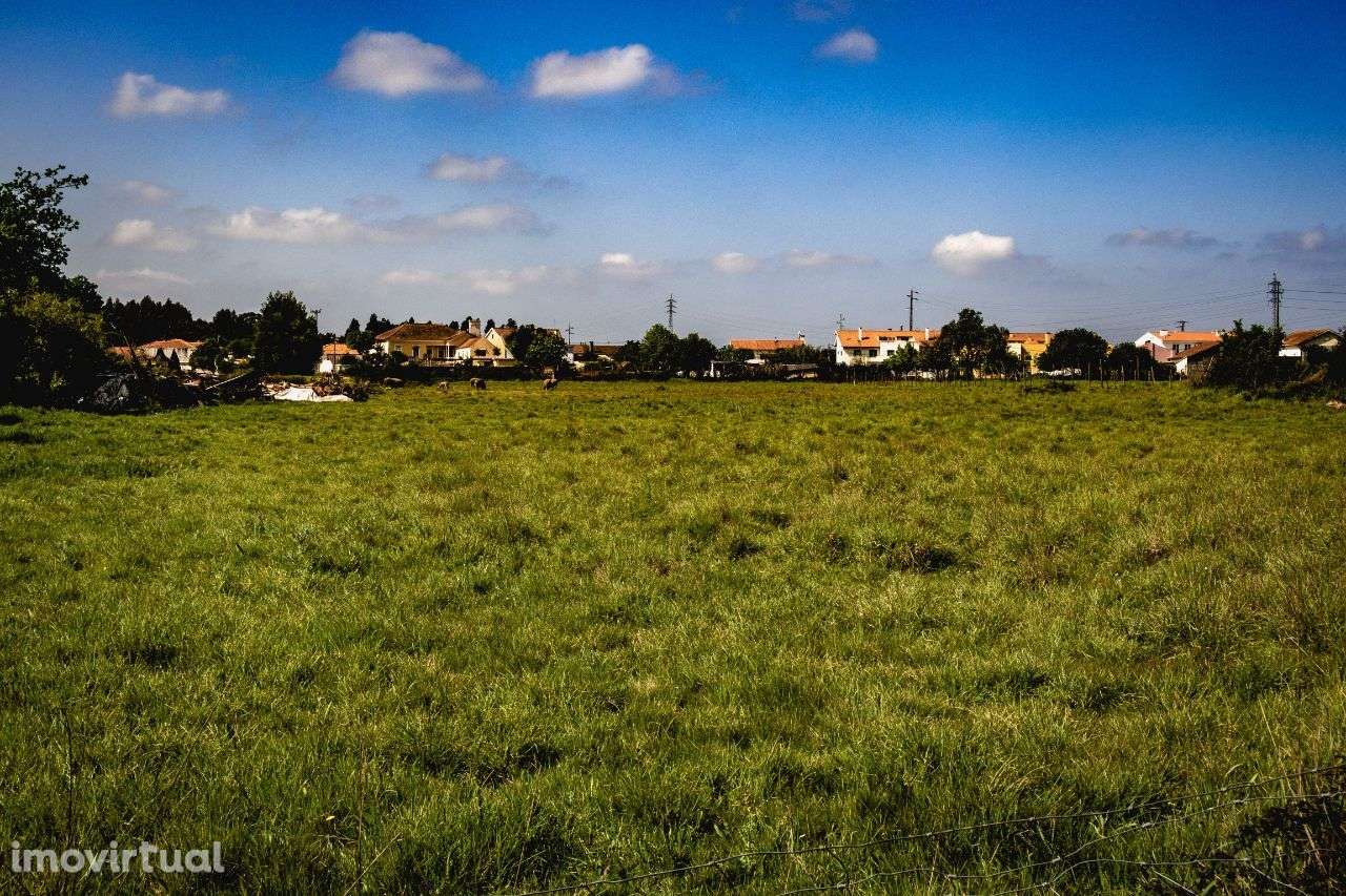 Terreno Rustico, com capacidade construtiva, H Tipo 3, Cacia, Aveiro - Grande imagem: 5/11