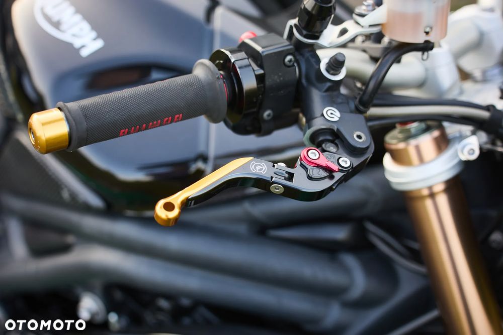 Triumph Speed Triple - 15
