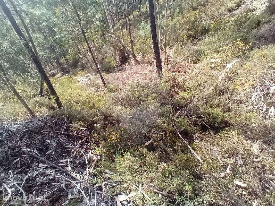 Terreno  para venda - Grande imagem: 3/9