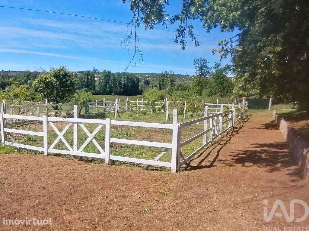 Terreno em Oliveira do Hospital e São Paio de Gramaços - Grande imagem: 2/11
