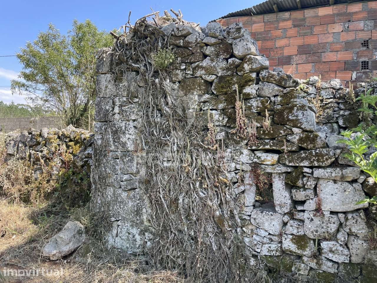 Ruina para reconstrução - Grande imagem: 2/14