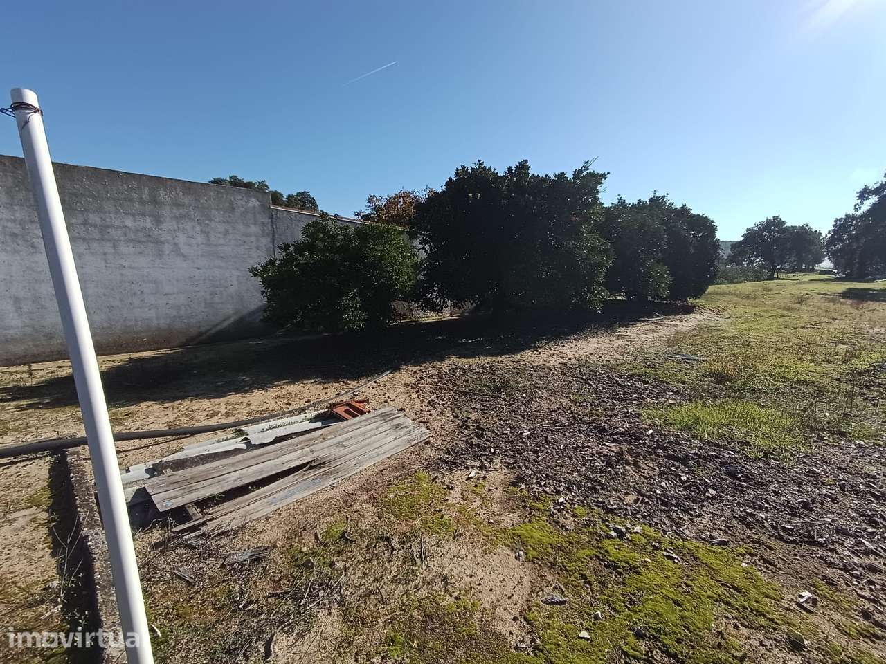 Adega grande para transformar em moradia Dois Portos, Torres Vedras - Grande imagem: 4/4